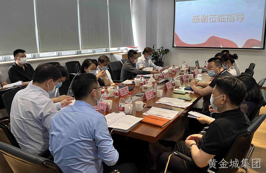 复工复产丨闵行区领导莅临黄金城集团电子视察指导