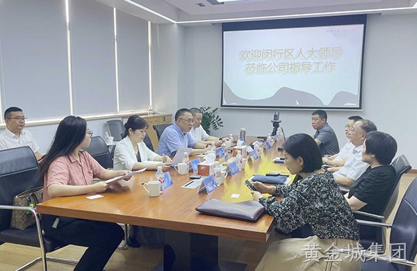 黄金城集团电子迎接闵行区人大财经委调研考察